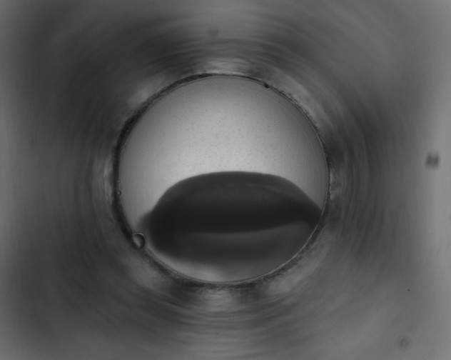 X0000103950349200809261753