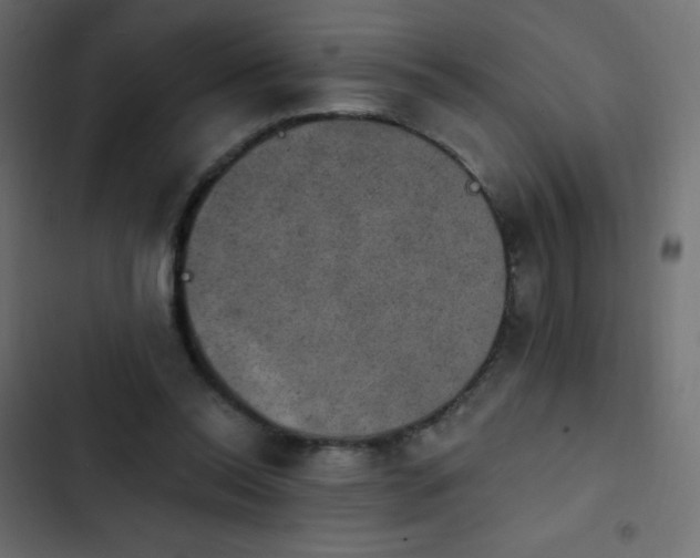 X0000103950350200809261753