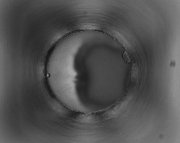 X0000103950351200809261753