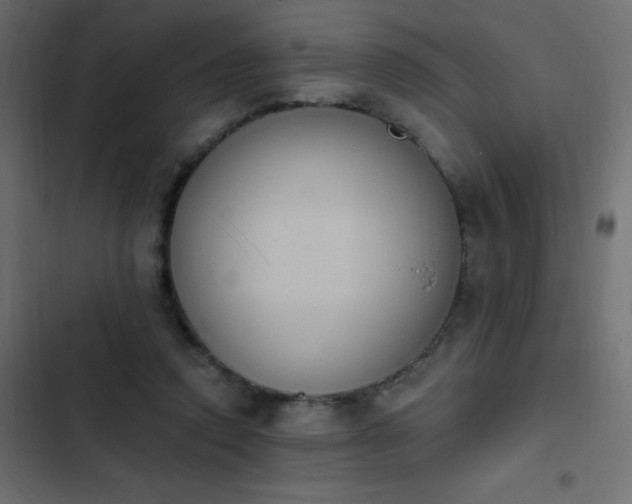 X0000103950354200809261753