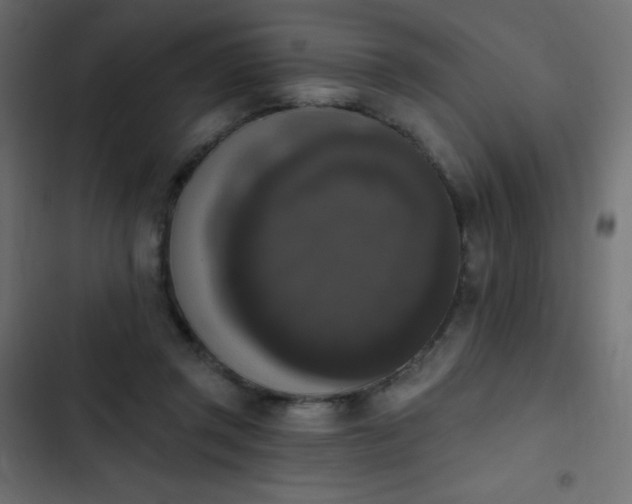 X0000103950357200809261753