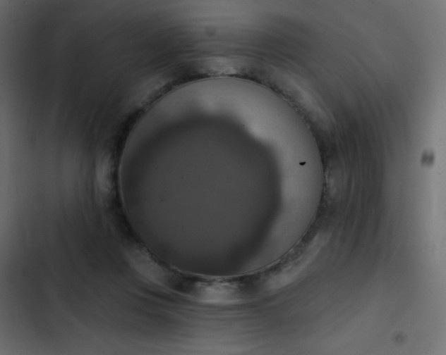 X0000103950359200809261753