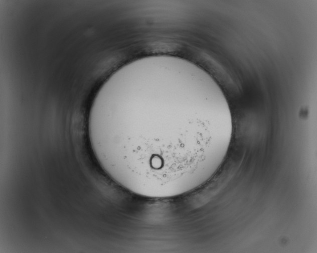 X0000103950362200809261753