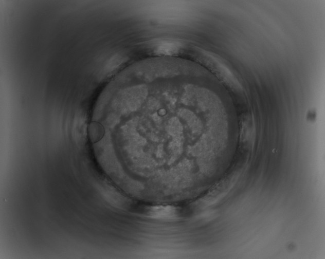 X0000103950363200809261753