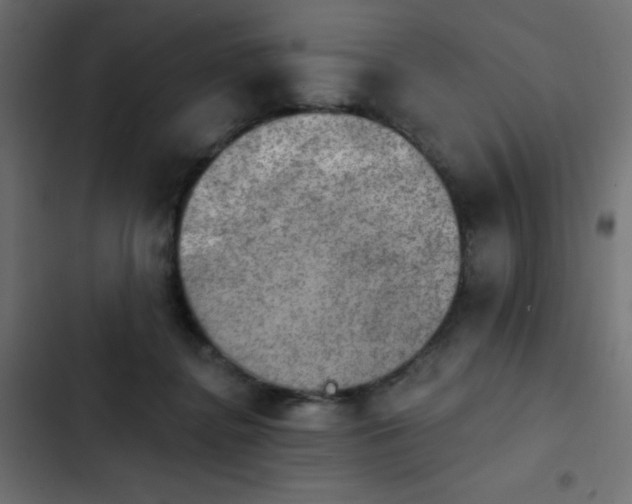 X0000103950364200809261753