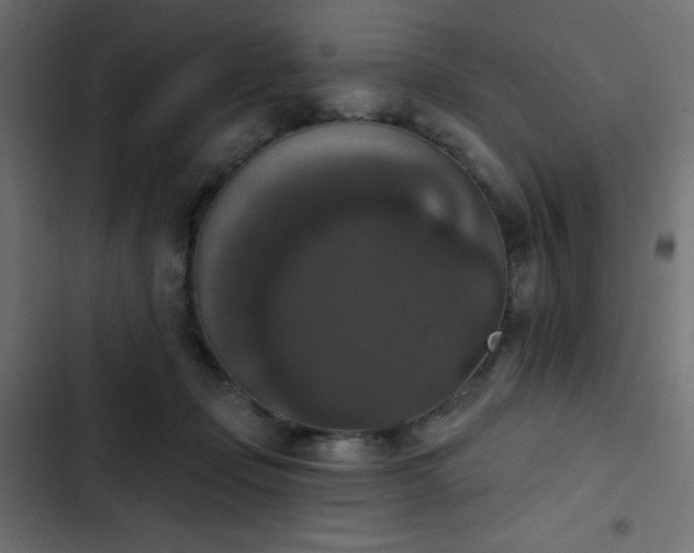 X0000103950365200809261753