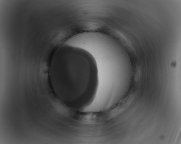 X0000103950366200809261753