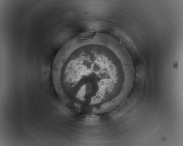 X0000103950369200809261753