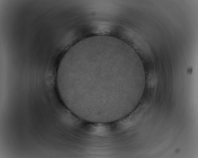 X0000103950370200809261753