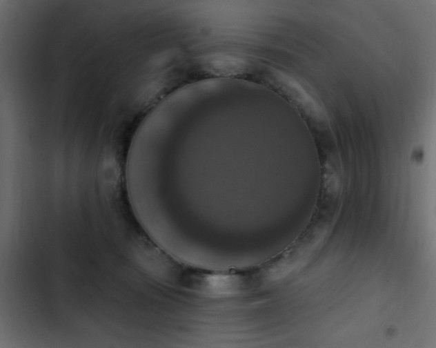 X0000103950371200809261753