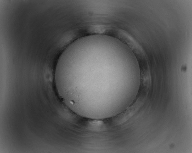 X0000103950374200809261753