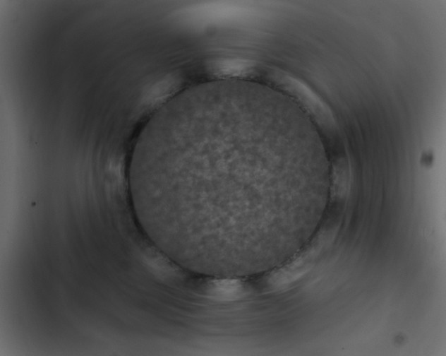 X0000103950377200809261753