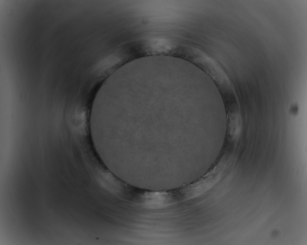 X0000103950378200809261754