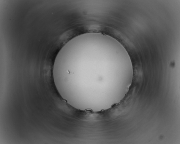 X0000103950379200809261754