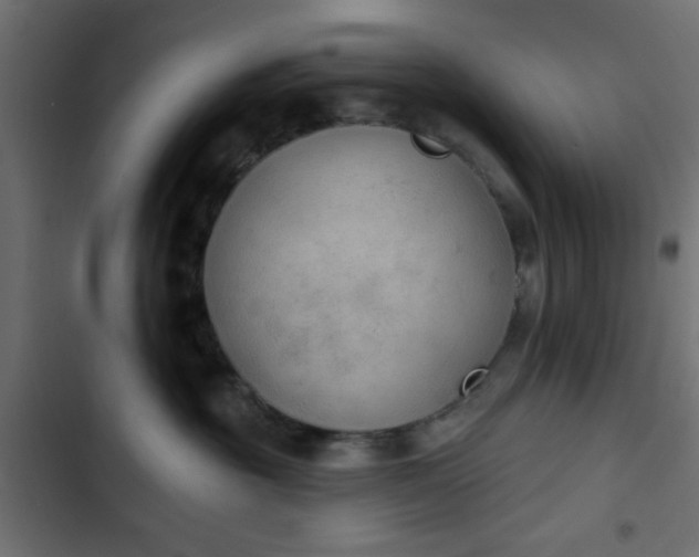 X0000103950381200809261754