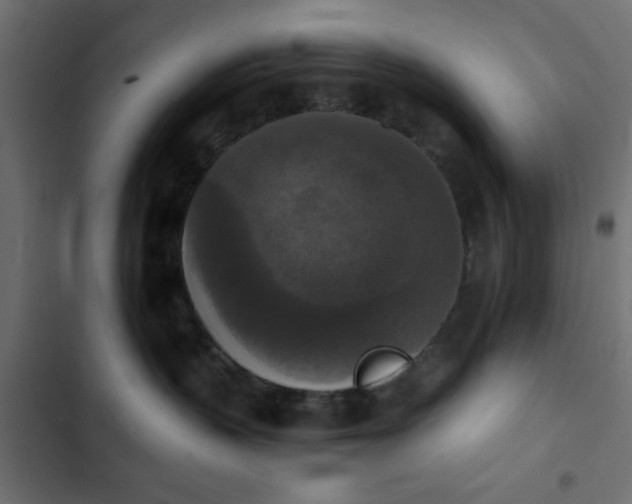 X0000103950383200809261754