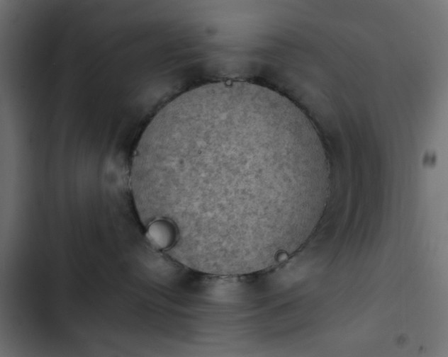 X0000103950384200809261754