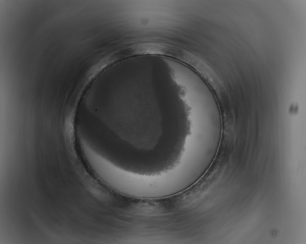 X0000103950386200809261753