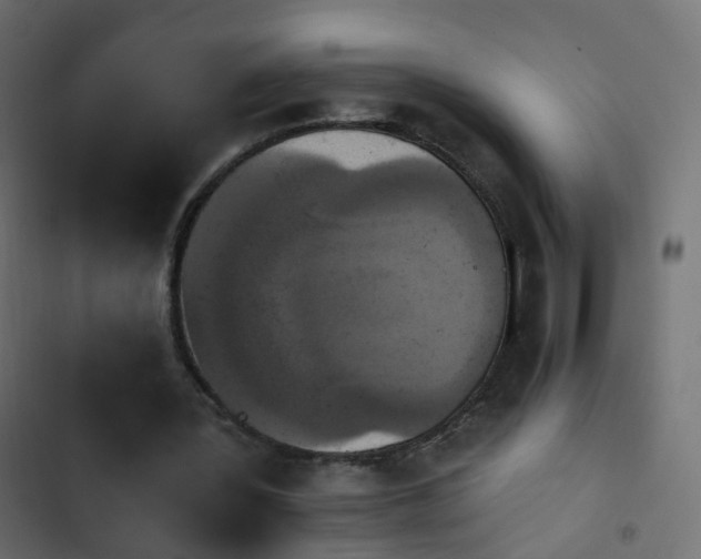 X0000103950387200809261753