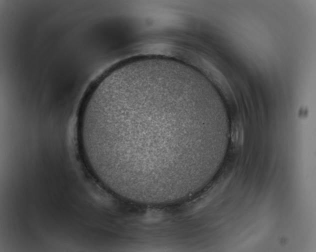 X0000103950388200809261753