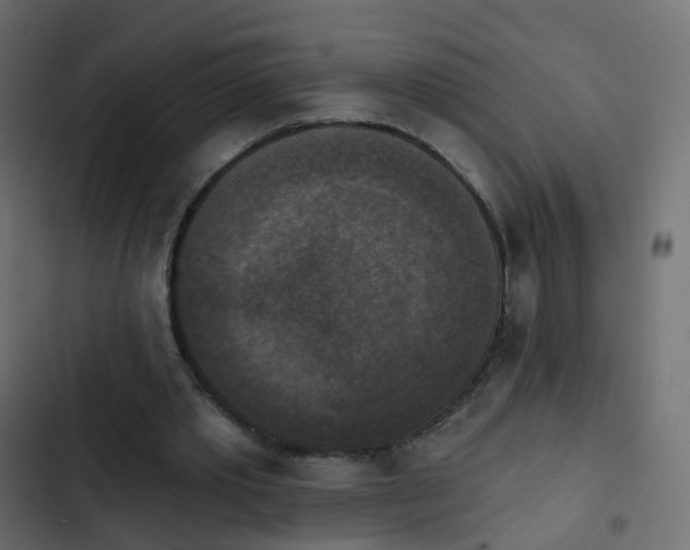 X0000103950389200809261753