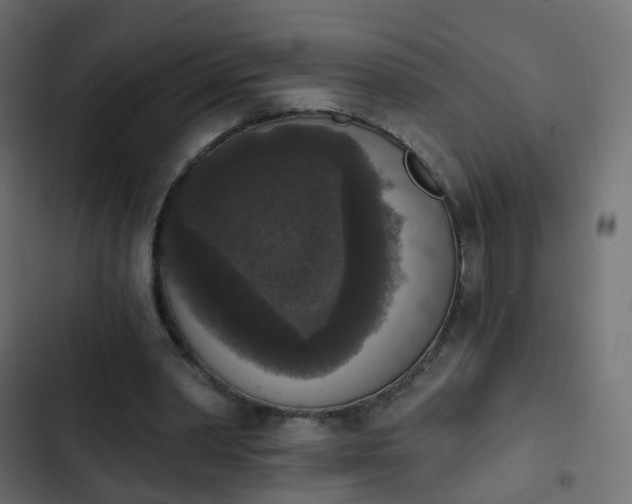 X0000103950390200809261753