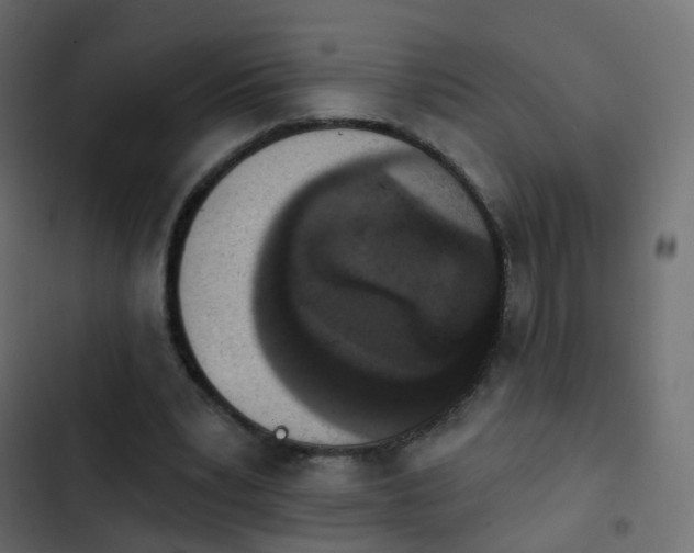 X0000103950391200809261753