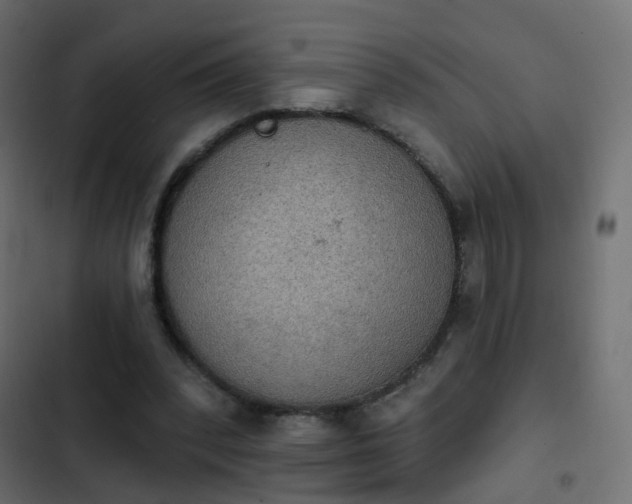 X0000103950392200809261753