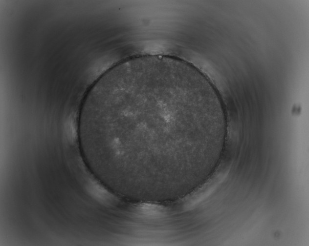 X0000103950393200809261753