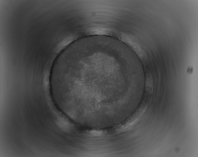 X0000103950394200809261753