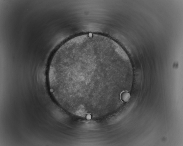 X0000103950395200809261753