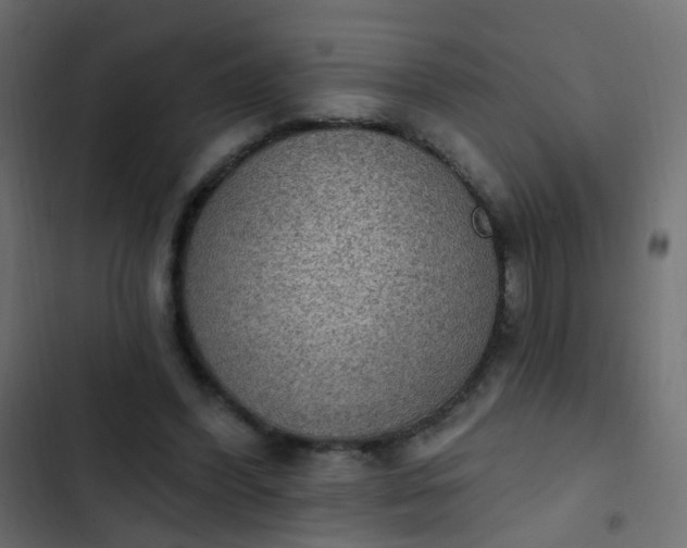 X0000103950396200809261753