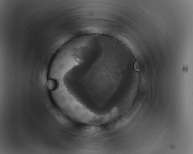 X0000103950398200809261753