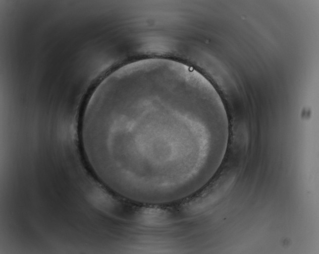 X0000103950399200809261753