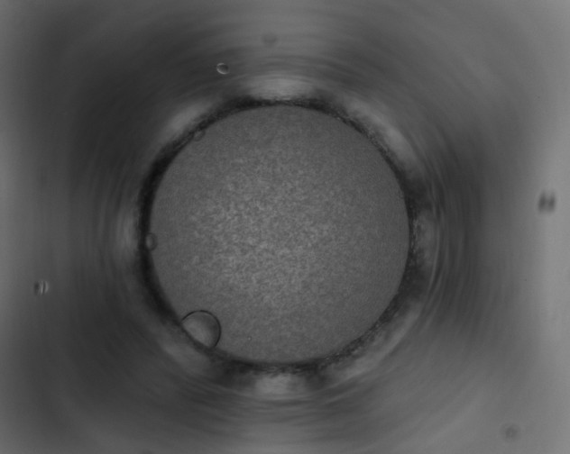 X0000103950400200809261753