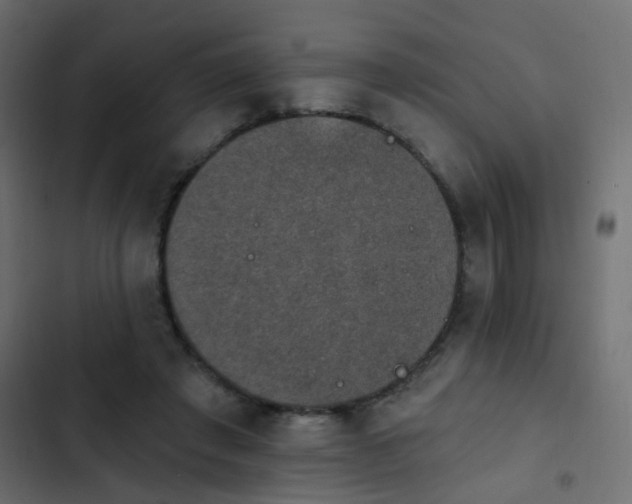 X0000103950401200809261753