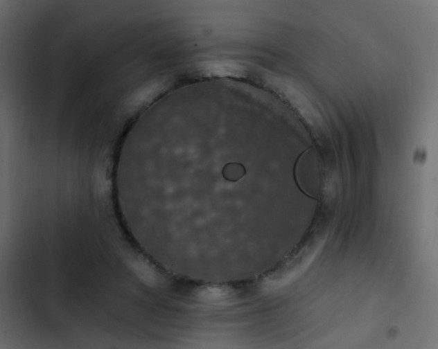 X0000103950402200809261753