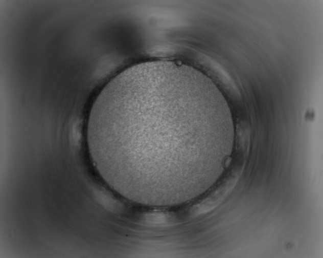 X0000103950404200809261753