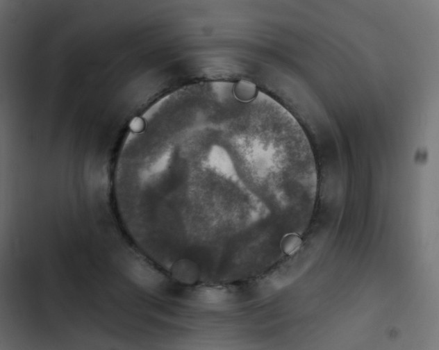 X0000103950405200809261753