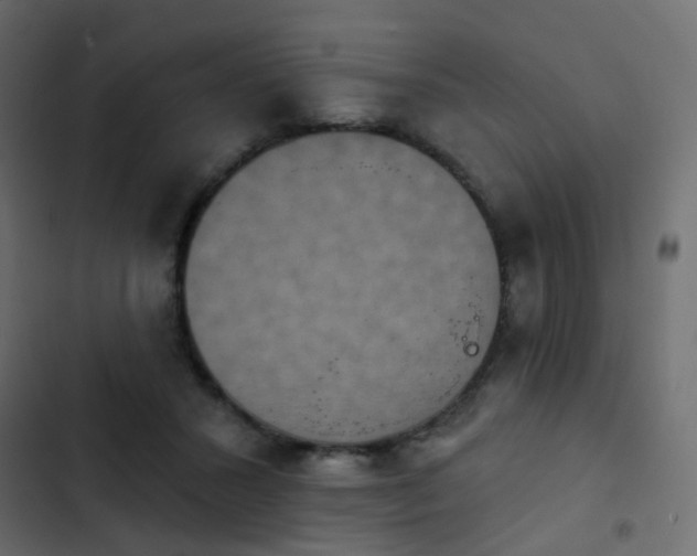 X0000103950407200809261753