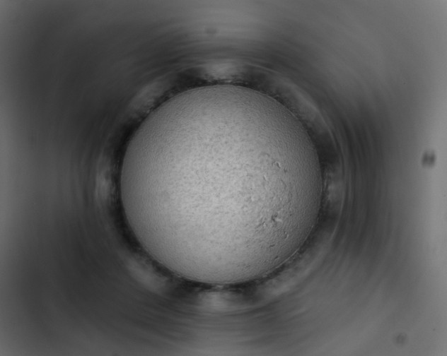 X0000103950408200809261753