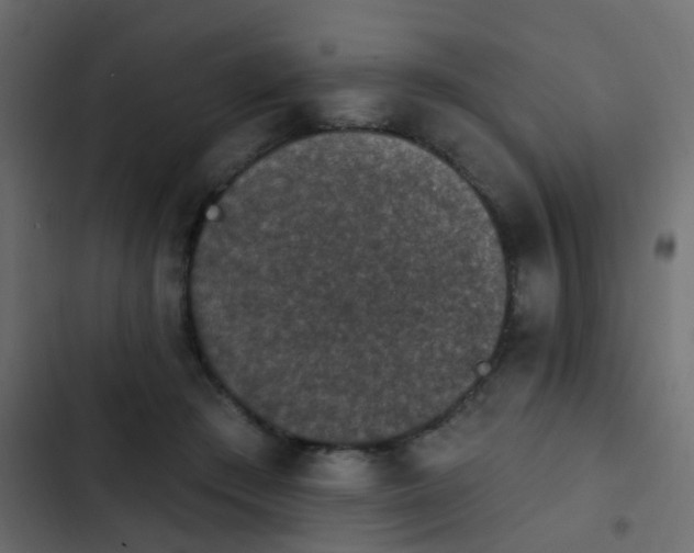 X0000103950409200809261753