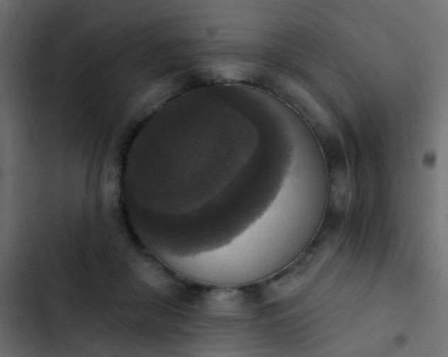 X0000103950410200809261753