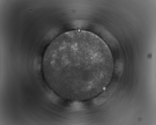 X0000103950413200809261753