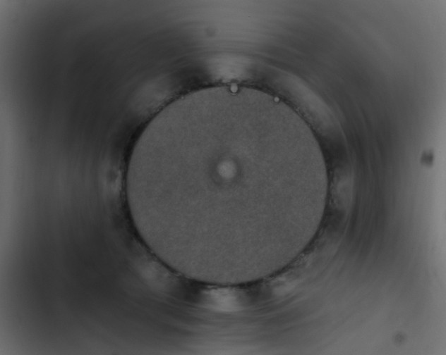 X0000103950417200809261752