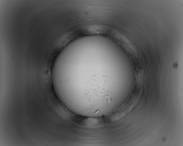 X0000103950418200809261752