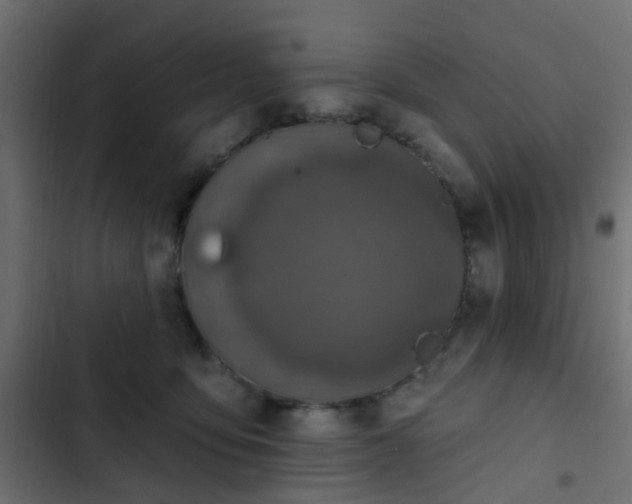 X0000103950419200809261752