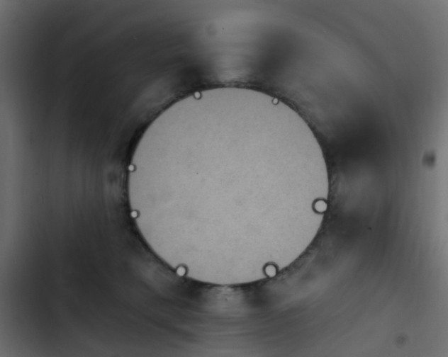 X0000103950421200809261752