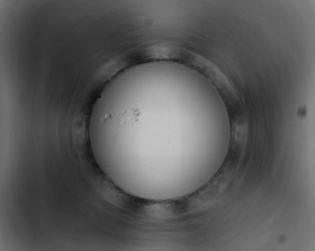 X0000103950422200809261752