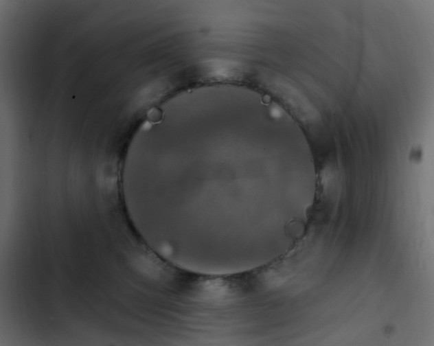 X0000103950423200809261752